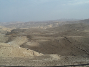На цих ґрунтах Ізраїля не проросте навіть потужна насінина. Долина міста Єрихон: штучне зрошення дає добрі плоди. Світлини автора